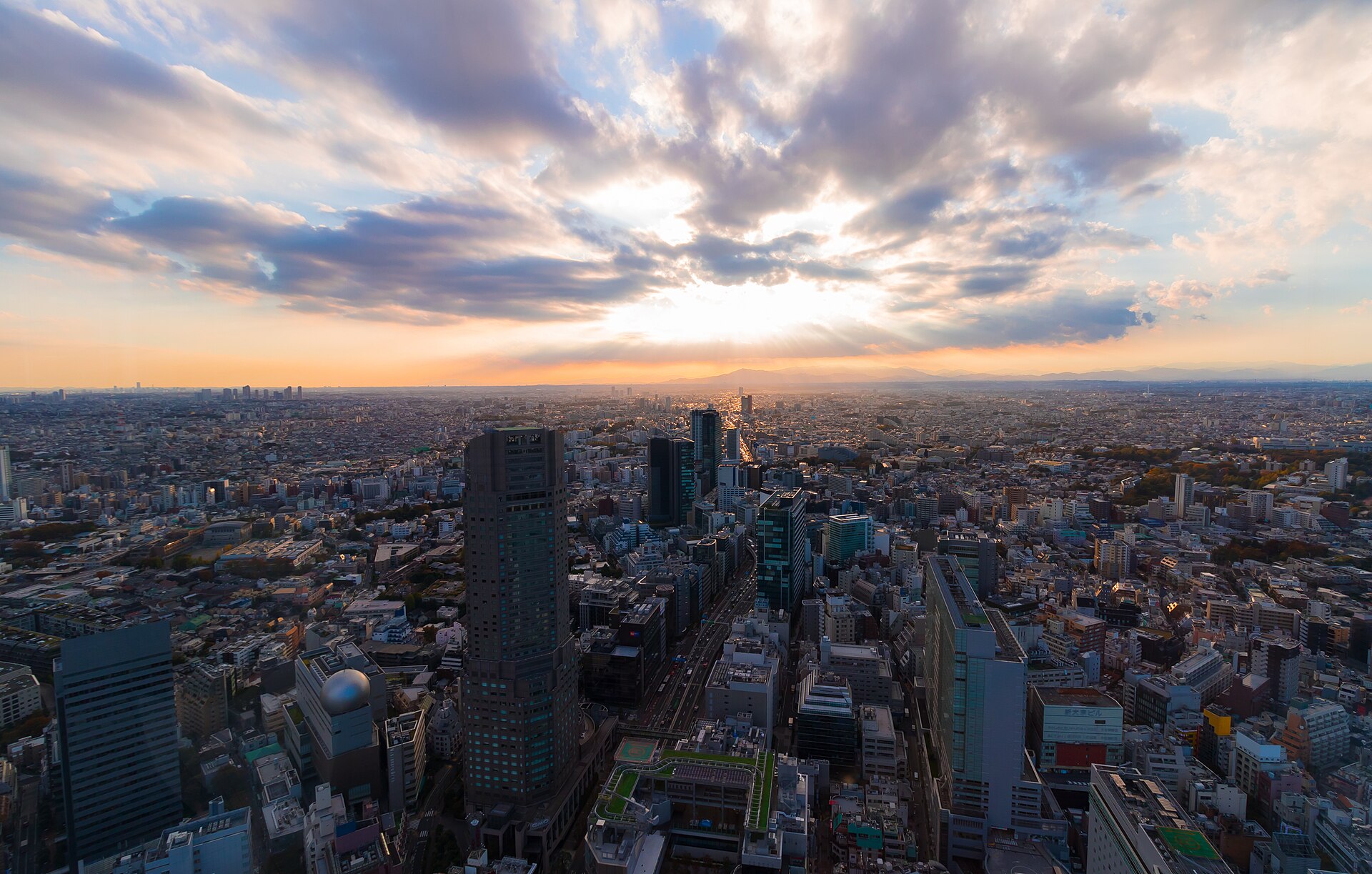 SHIBUYA SKY 参考图 1